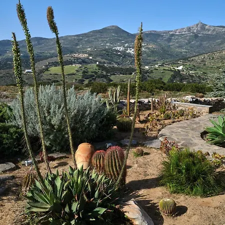 Joy With Private Pool, Close To Naoussa Villa