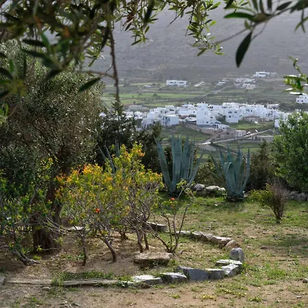 Villa Joy With Private Pool, Close To Naoussa Kostos