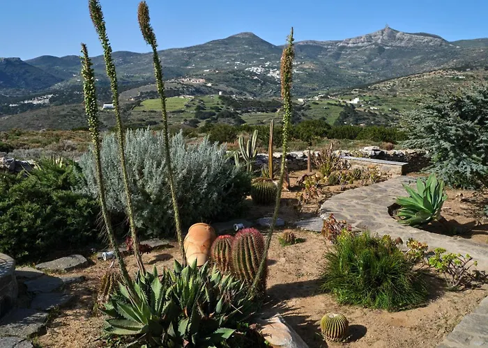 Joy With Private Pool, Close To Naoussa Villa