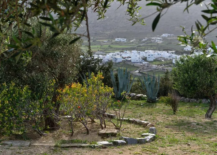 Villa Joy With Private Pool, Close To Naoussa Kostos